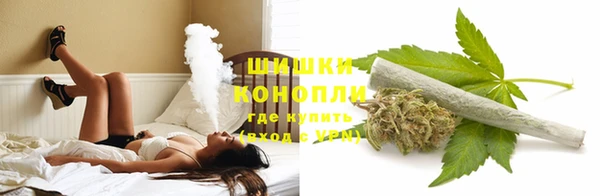 PSILOCYBIN Баксан
