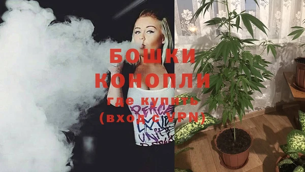 PSILOCYBIN Баксан