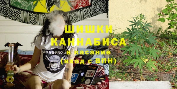 PSILOCYBIN Баксан