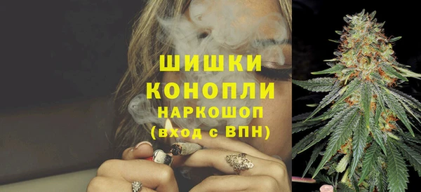 PSILOCYBIN Баксан