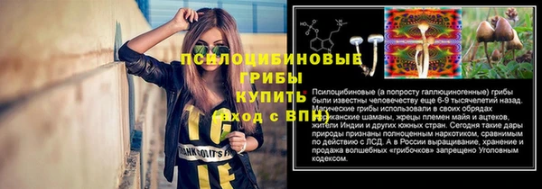 PSILOCYBIN Баксан