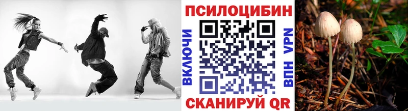 как найти закладки  Яхрома  Псилоцибиновые грибы GOLDEN TEACHER 